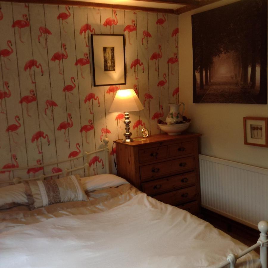 Appartamento The Firs Builth Wells Esterno foto